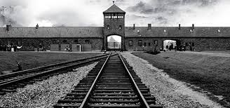Auschwitz Aufklrung